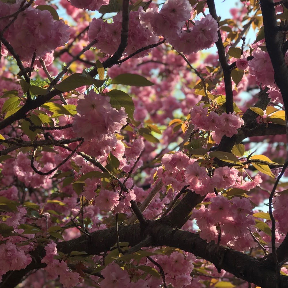 Meet your Posher, Mary
